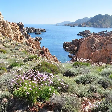 Big - Li Rosi Marini Resort 3*